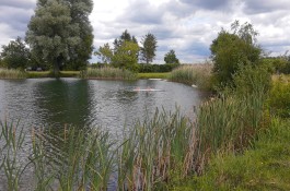 IMG_20220625_130421191