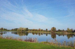IMG_20221030_115209305