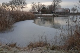 IMG_20221218_121218291