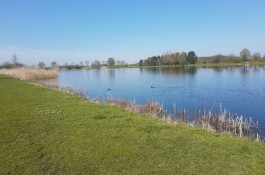 IMG_20230405_133416827